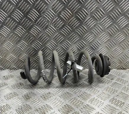 Nissan Qashqai Rear coil spring 550204EA5B