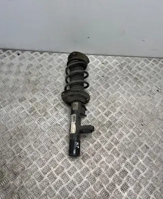 Volkswagen Golf VIII Front shock absorber with coil spring 5WA413032T 3005544 E46M7101
