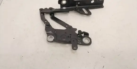 BMW 1 F20 F21 Engine bonnet/hood hinges 13989610 174312