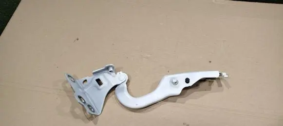 Renault Trafic III (X82) Engine bonnet/hood hinges 654003204R 3204R00002 3204R00001
