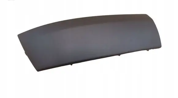 Renault Clio II Trim molding 8200113981