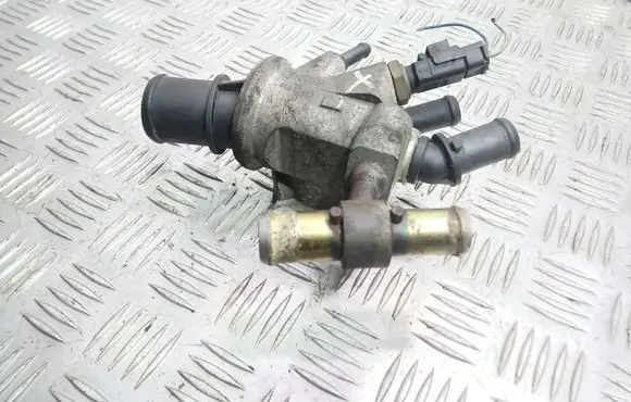 Thermostat/thermostat housing