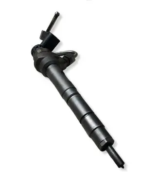 Volkswagen PASSAT B7 Fuel injector 0445110369