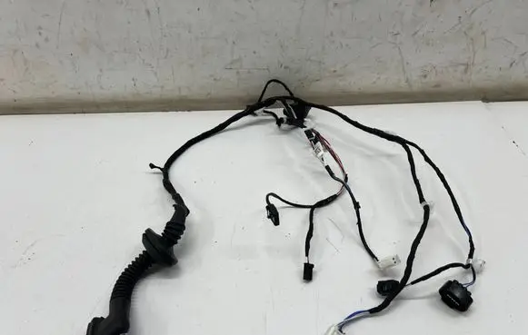Rear door wiring loom
