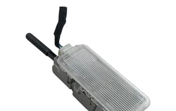 Citroen C4 II Number plate light