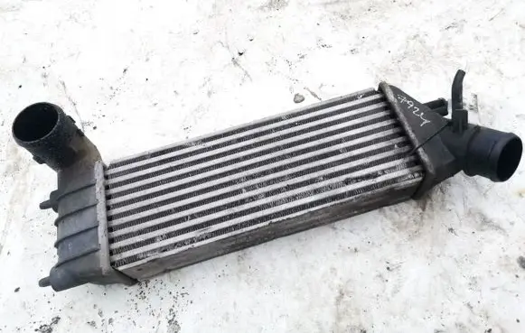 Peugeot 807 Intercooler radiator 1489396080