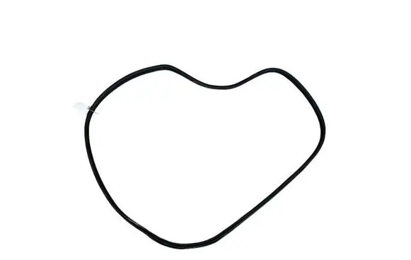BMW X3 G01 Rear door rubber seal (on body) 7393449
