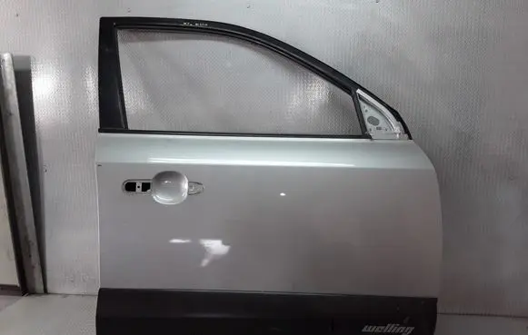 Hyundai Tucson LM Front door