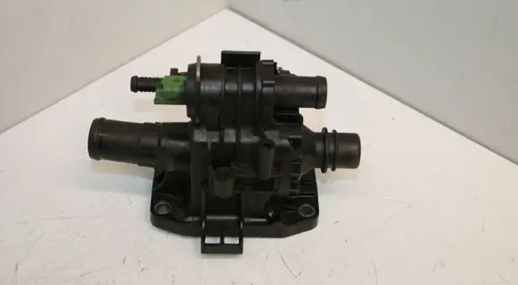 Thermostat/thermostat housing