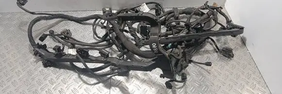 Mercedes-Benz S W220 Engine installation wiring loom A2205460580