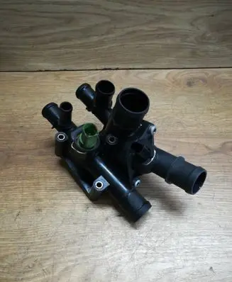 Thermostat/thermostat housing