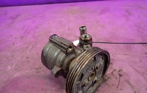 Renault Thalia I Power steering pump