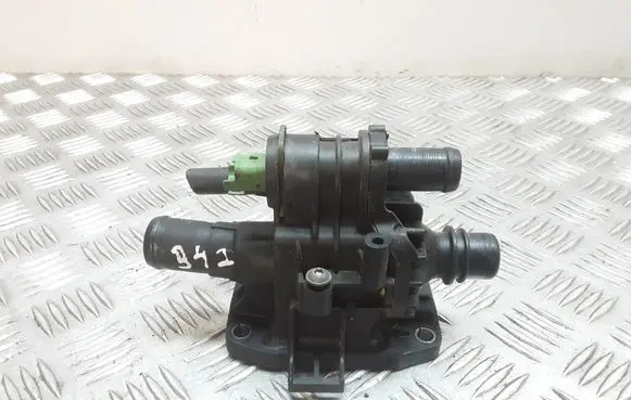 Thermostat/thermostat housing