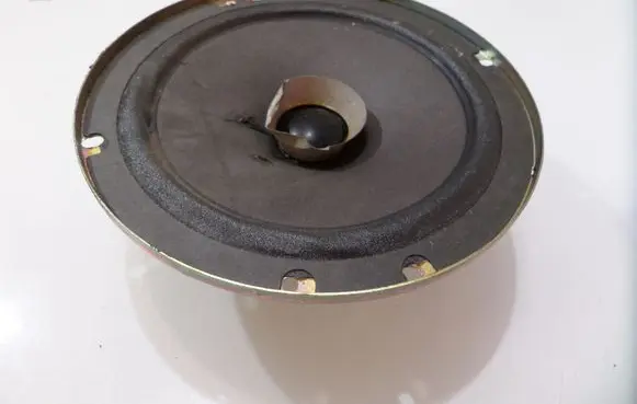 Renault Espace III Front door speaker 6025301084C