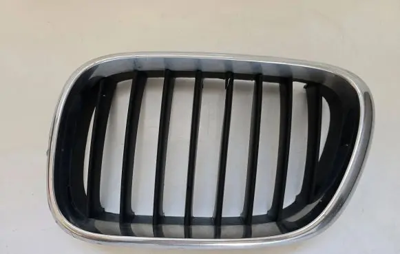 BMW X5 E53 Front bumper upper radiator grill 8247673