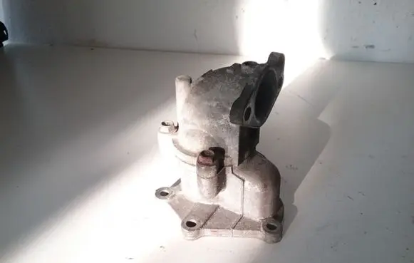 Thermostat/thermostat housing