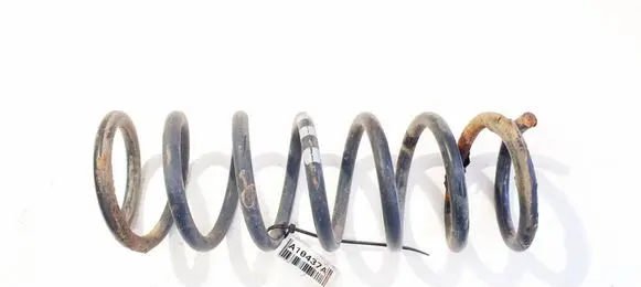 Rear coil spring