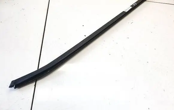 Rear door glass trim molding