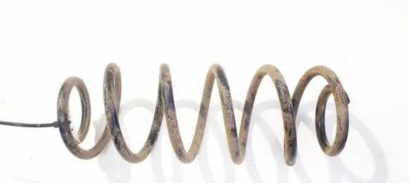 Rear coil spring