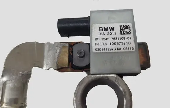 BMW 3 F30 F35 F31 Negative earth cable (battery) 763110901