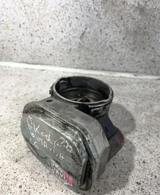 Skoda Octavia Mk2 (1Z) Throttle valve