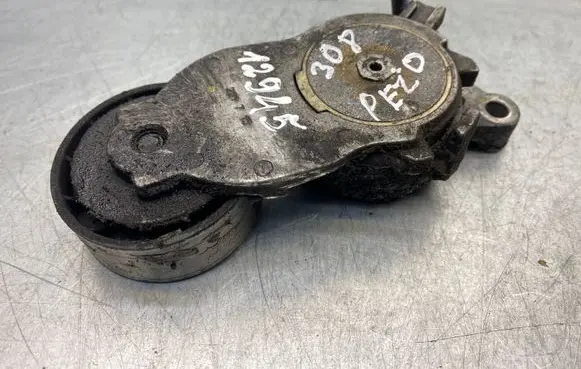 Peugeot 308 Alternator pulley 221715