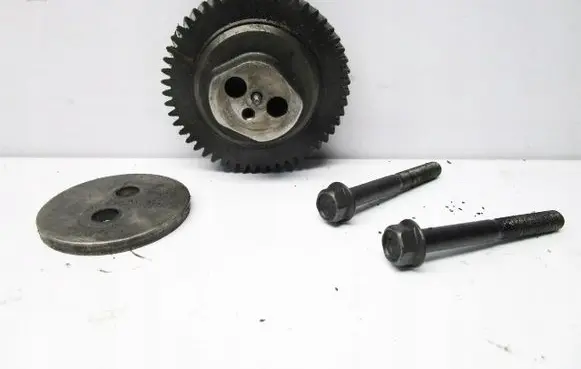 Renault Vel Satis Timing chain sprocket 