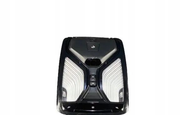 BMW X5 G05 Front seat light 5A0F616