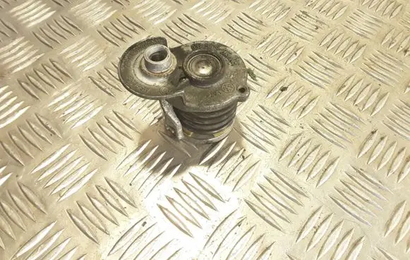 Skoda Superb B6 (3T) Generator/alternator belt tensioner