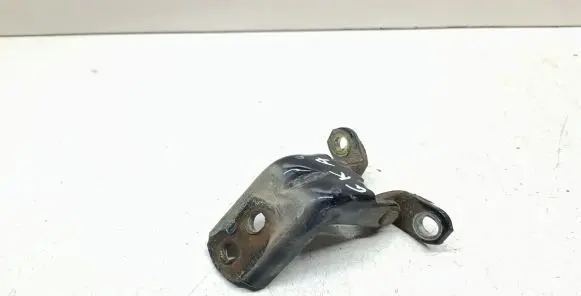 Rear door lower hinge