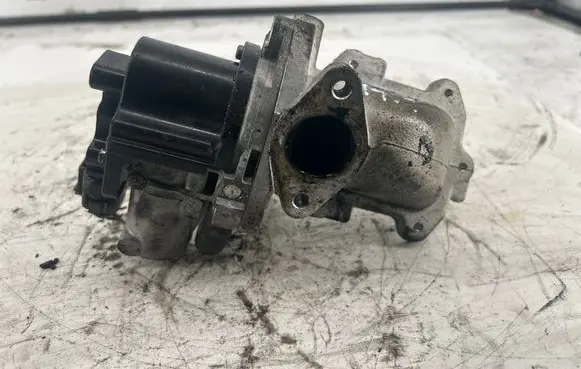 Hyundai H-1, Starex, Satellite EGR valve 284104A700