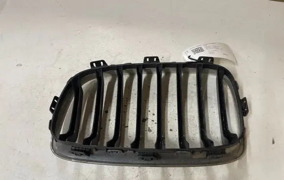 BMW 1 F20 F21 Front bumper upper radiator grill 7239022 7262120 7262118
