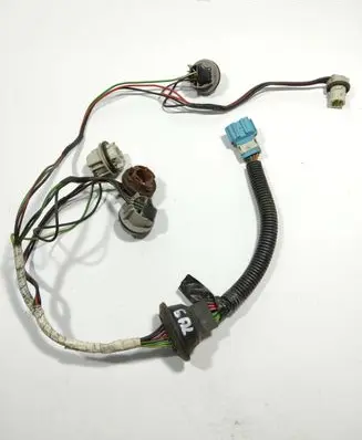 Honda CR-V Tail light bulb cover holder 