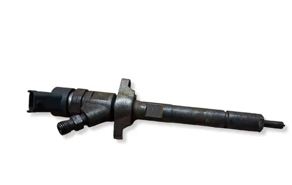 Citroen C4 I Fuel injector 0445110239