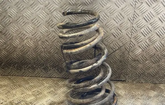Rear coil spring