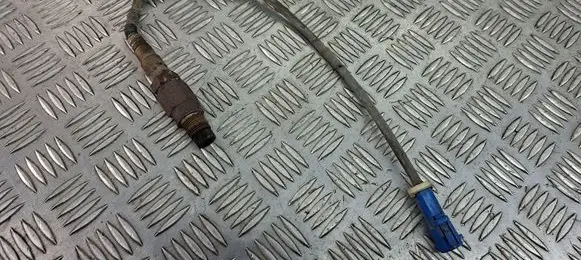 Ford Focus Lambda probe sensor 