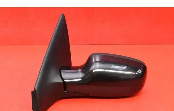 Renault Megane II Front door electric wing mirror 110511071109