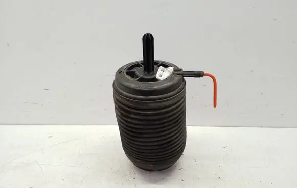 Porsche Macan (95B) Rear air suspension bag/shock absorber 95B616001H R307515204