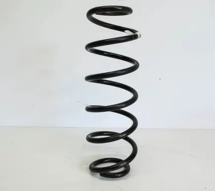 Rear coil spring