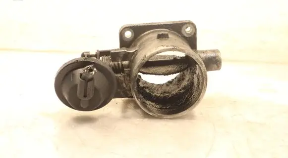 Hyundai Santa Fe Throttle body valve 