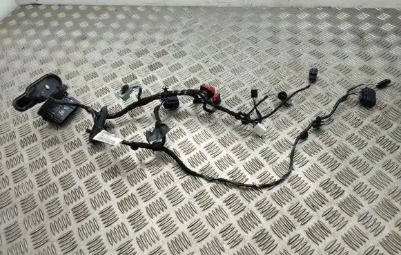 Ford B-MAX Front door wiring loom AV1T14A584
