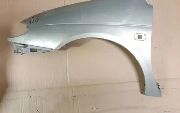 Renault Scenic I Fender