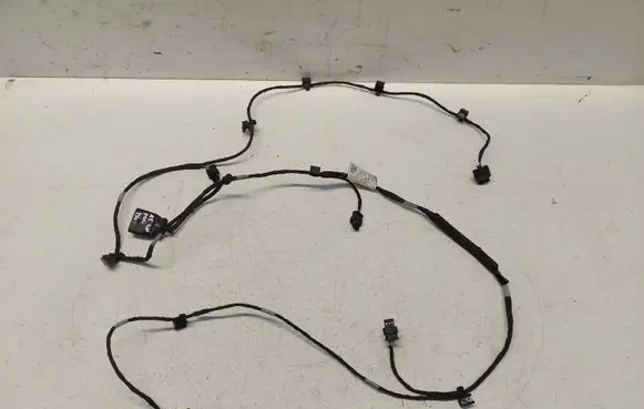 Audi A8 S8 D5 Other wiring loom 4N0971104T
