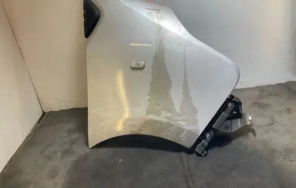 Renault Trafic III (X82) Fender
