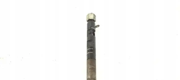 Renault Kangoo I Fuel injector EJBR05102D