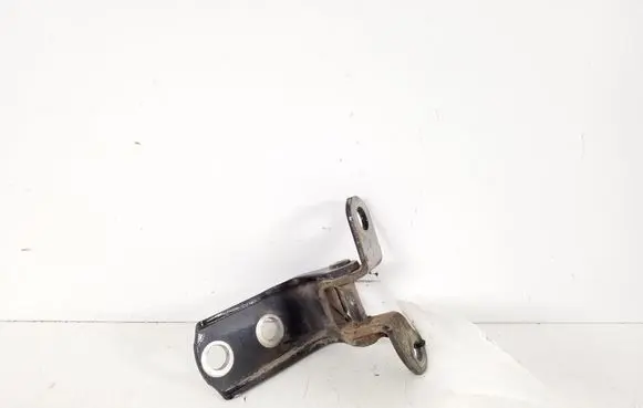 Rear door lower hinge