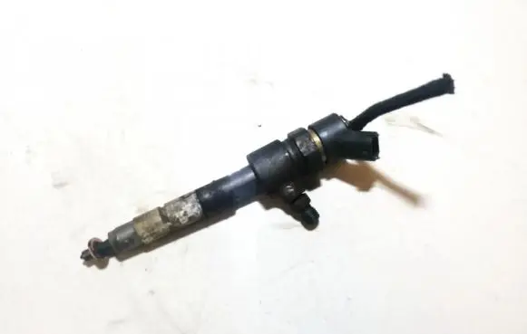 Fiat Punto (188) Fuel injector 0445110019 1102077208505