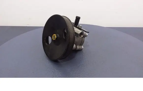 Hyundai Sonata Power steering pump