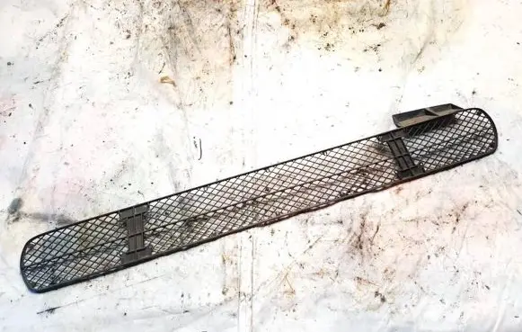 Front bumper lower grill