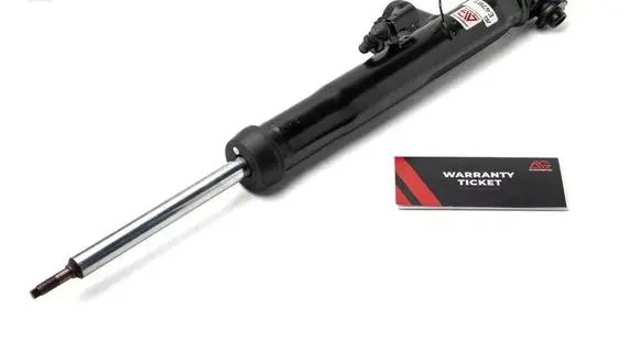 Rear shock absorber/damper